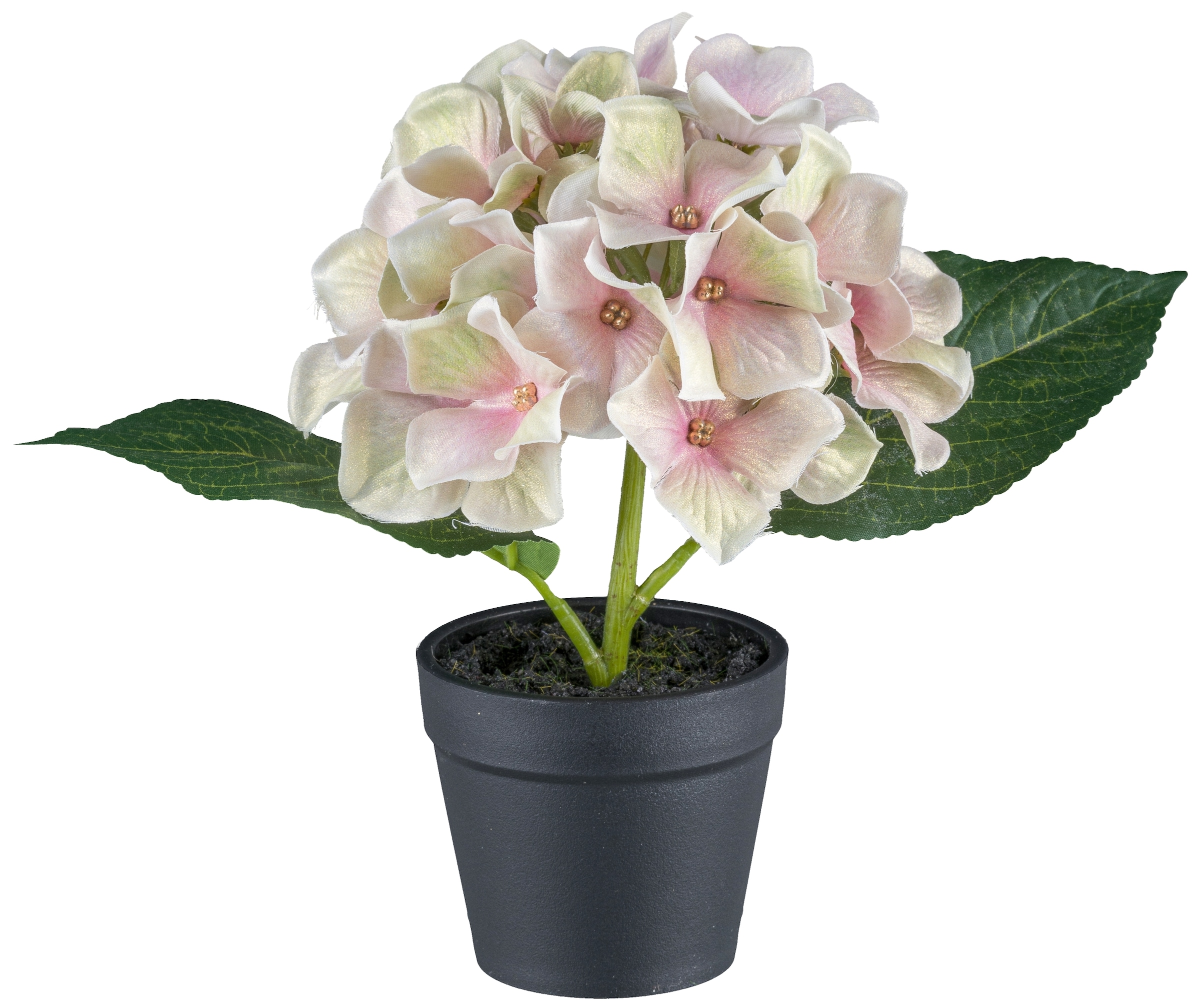 Creativ green Kunstblume »Mini-Hortensie in Pastellfarben« mit Glitzerschimmer