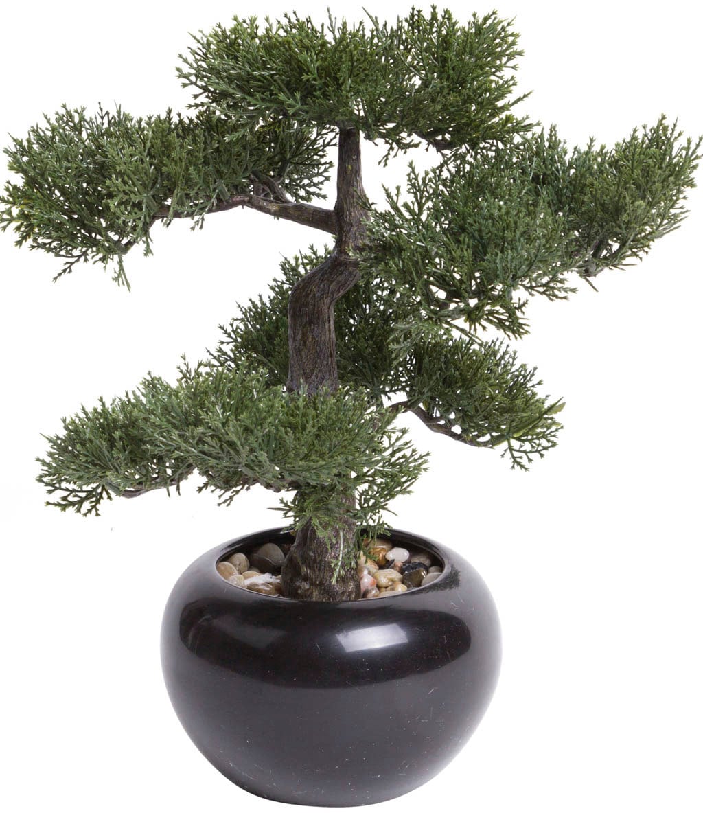 Kunstbonsai »Ceder Bonsai«