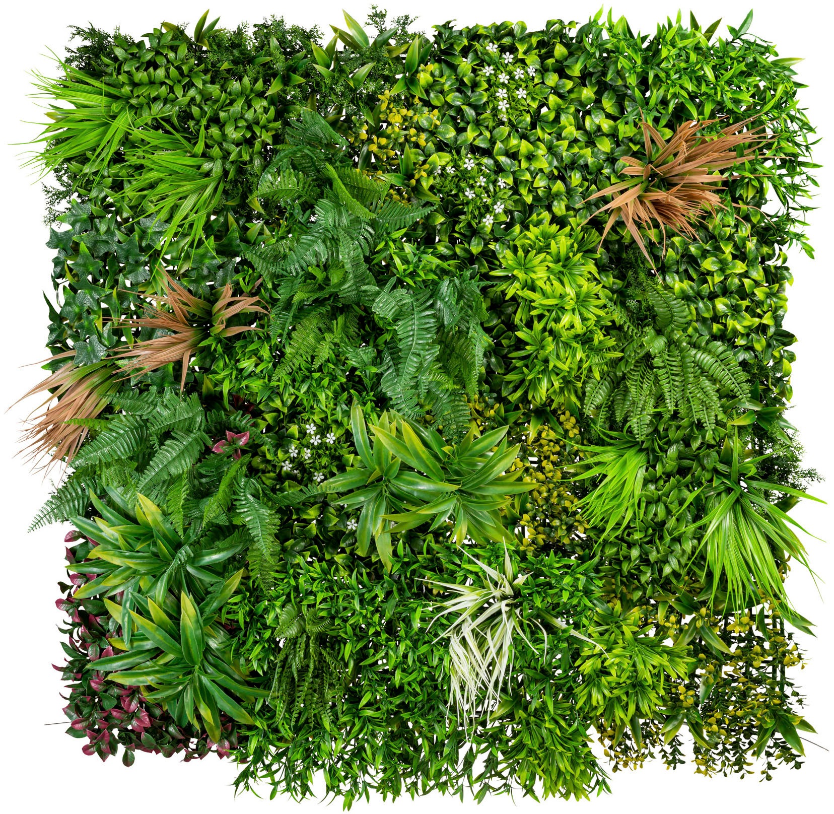 Creativ green Kunstpflanze »Farnmatte«, (1 St.) bei OTTO