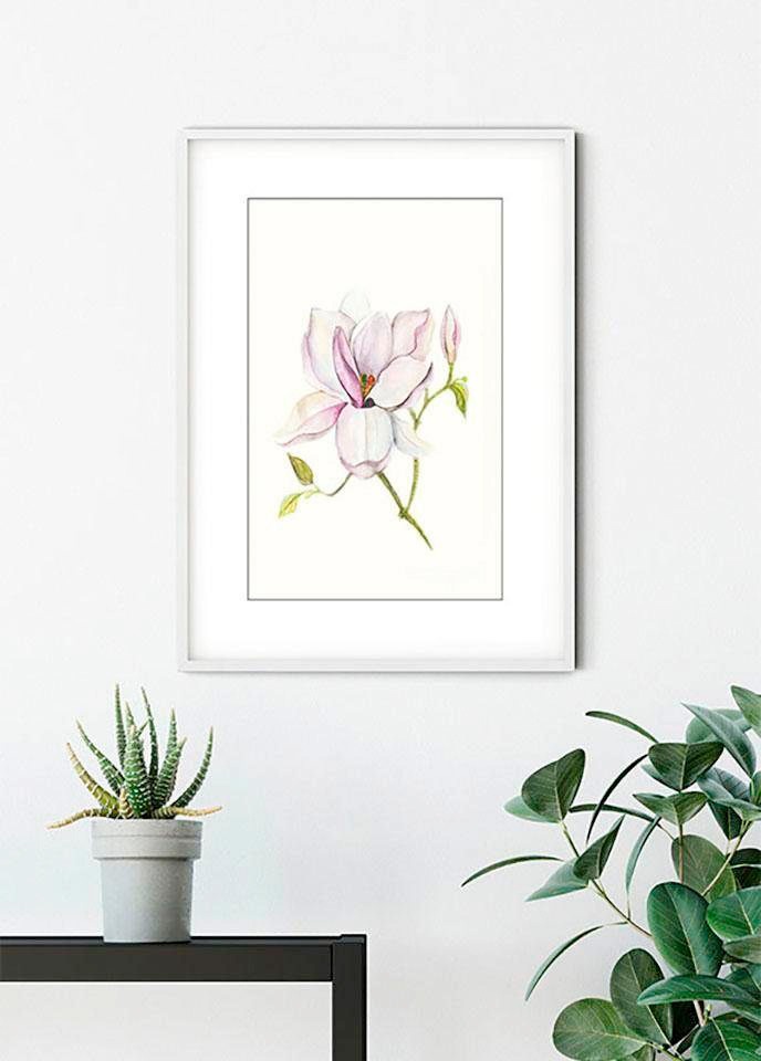 Komar Bild »Magnolia Shine«, Blumen, (1 St.), Wandbild zur Dekoration - ohne Rahmen