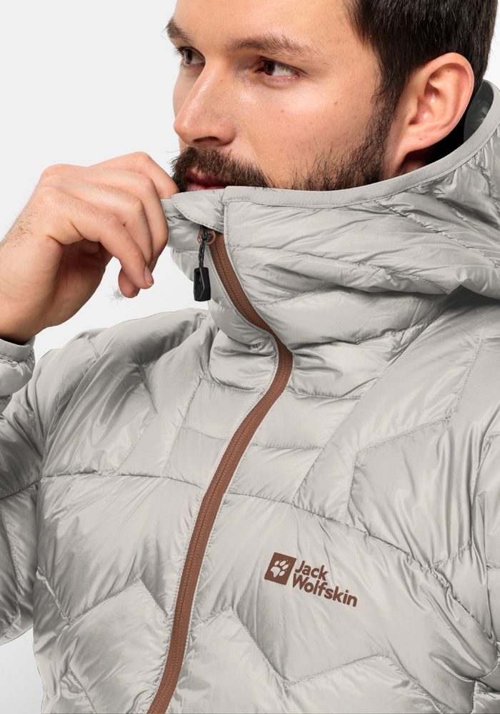 Jack Wolfskin Daunenjacke »ALPSPITZE DOWN HOODY M«, mit Kapuze