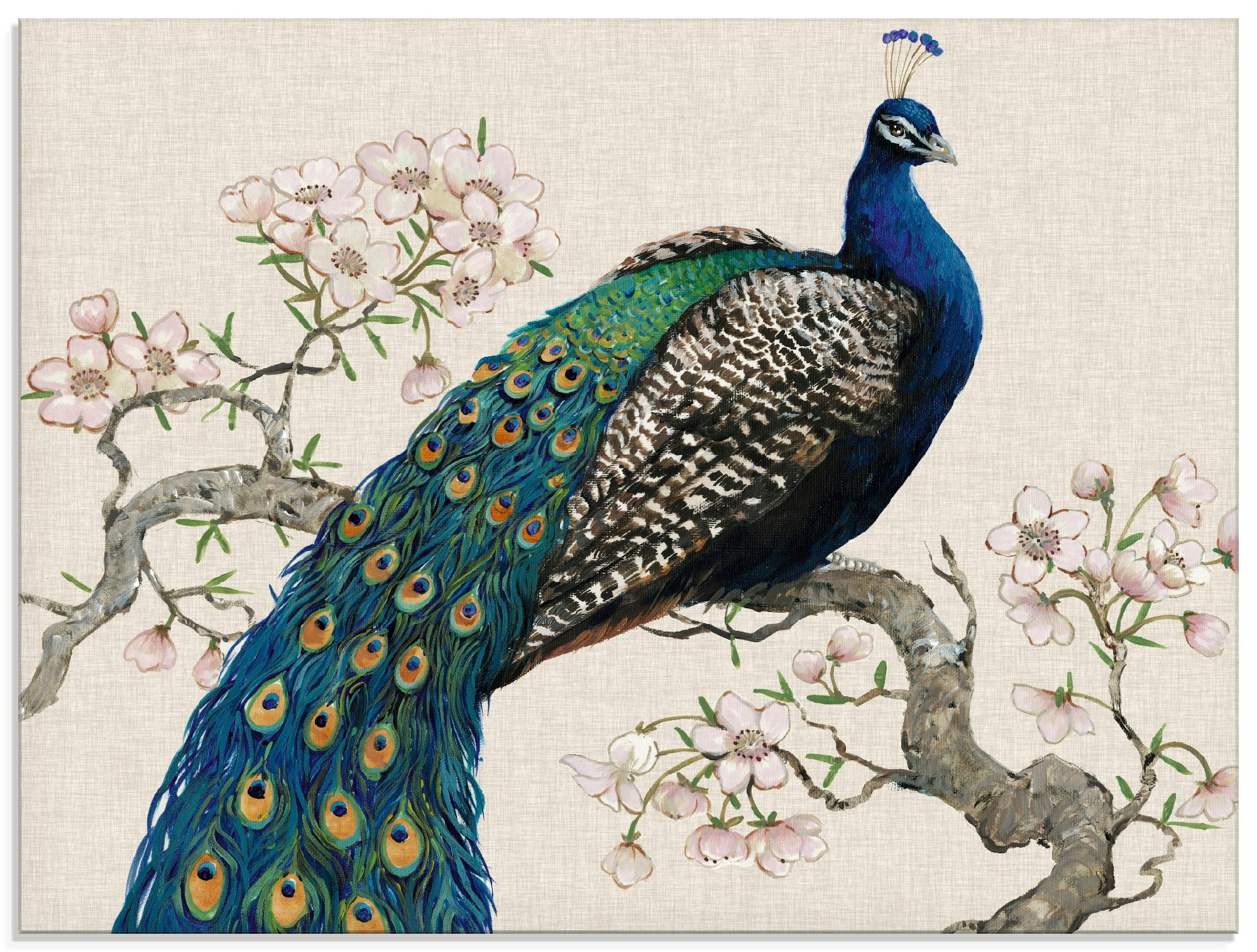 Artland Glasbild »Pfau & Blüten I«, Vögel, (1 St.), in verschiedenen Größen  bestellen bei OTTO