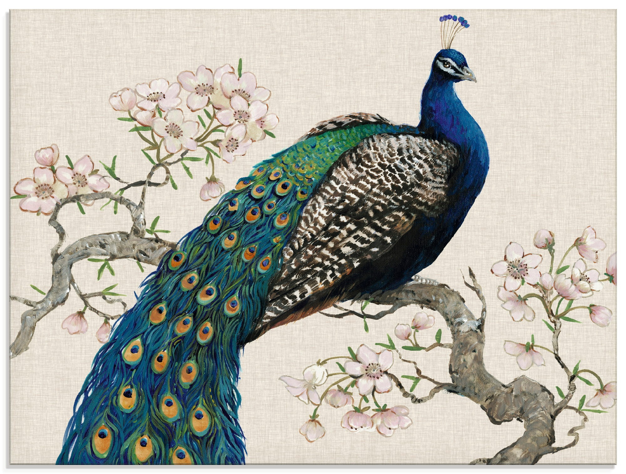 Artland Glasbild »Pfau & Blüten OTTO I«, Größen (1 Vögel, in bei verschiedenen bestellen St.)