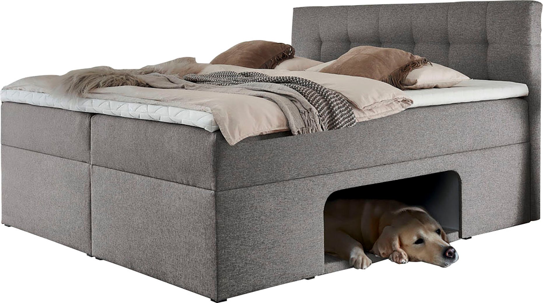Home affaire Boxbett »Carolin« mit Nische inkl. gepolsterter Unterlage für Haustiere