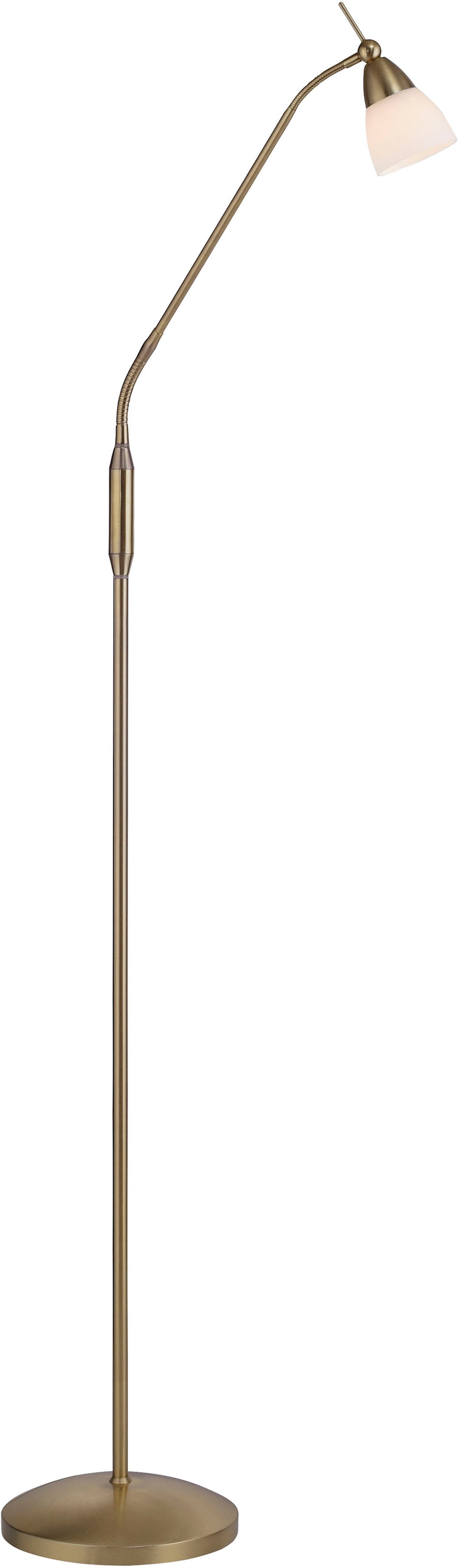 Paul Neuhaus Stehlampe »PINO«, 1 flammig, Leuchtmittel G9 | LED wechselbar