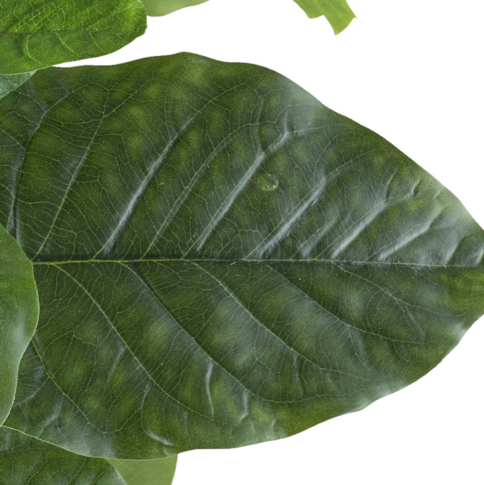 Creativ green Kunstpflanze »Ficus petiolaris« mit großformatigen Blättern