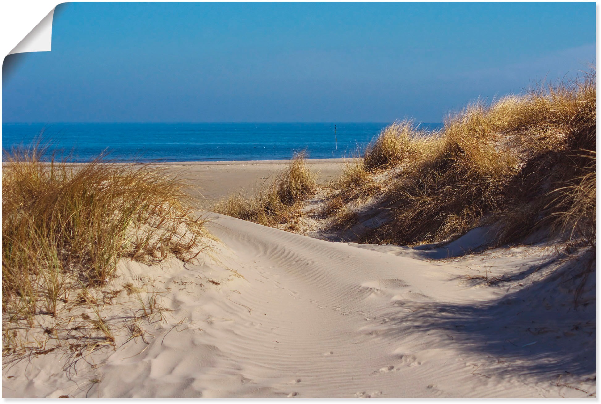 Artland Wandbild »Am Meer - Insel Amrum«, Strand, (1 St.), in vielen Größen & Produktarten - Alubild / Outdoorbild für den Außenbereich, Leinwandbild, Poster, Wandaufkleber / Wandtattoo auch für Badezimmer geeignet