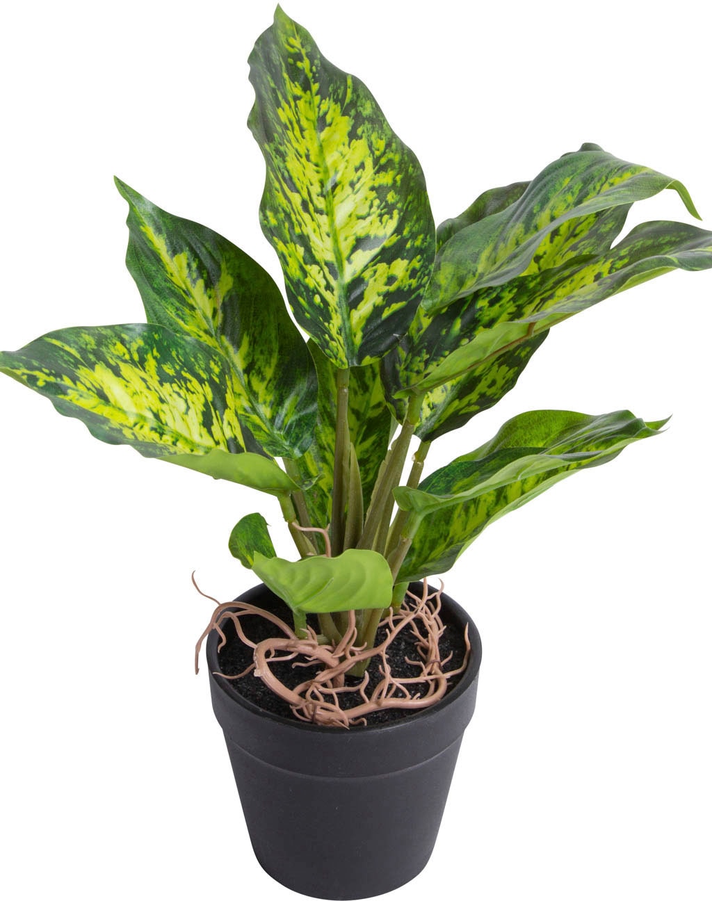 Künstliche Zimmerpflanze »Dieffenbachia Tropic«