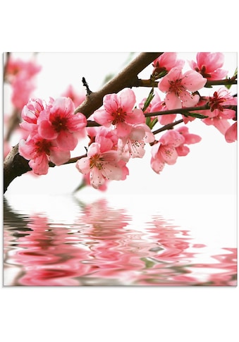 Glasbild »Pfirsichblüten reflektieren im Wasser«, Blumen, (1 St.)