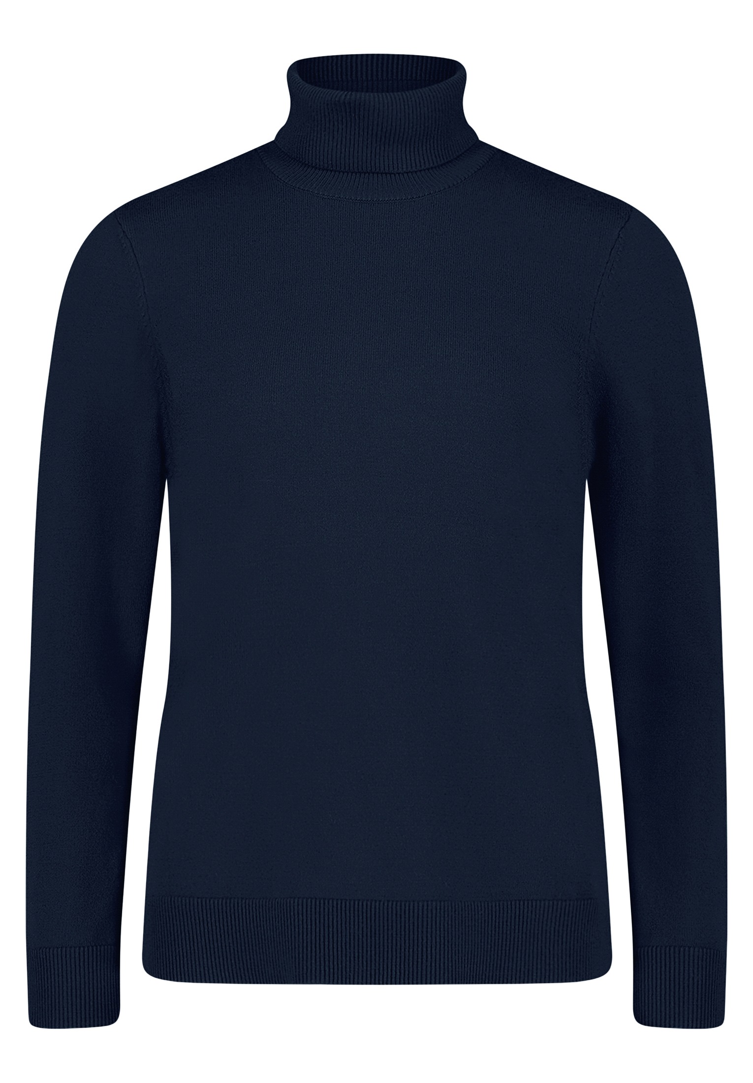 Betty Barclay Rollkragenpullover »Rollkragenpullover langarm«