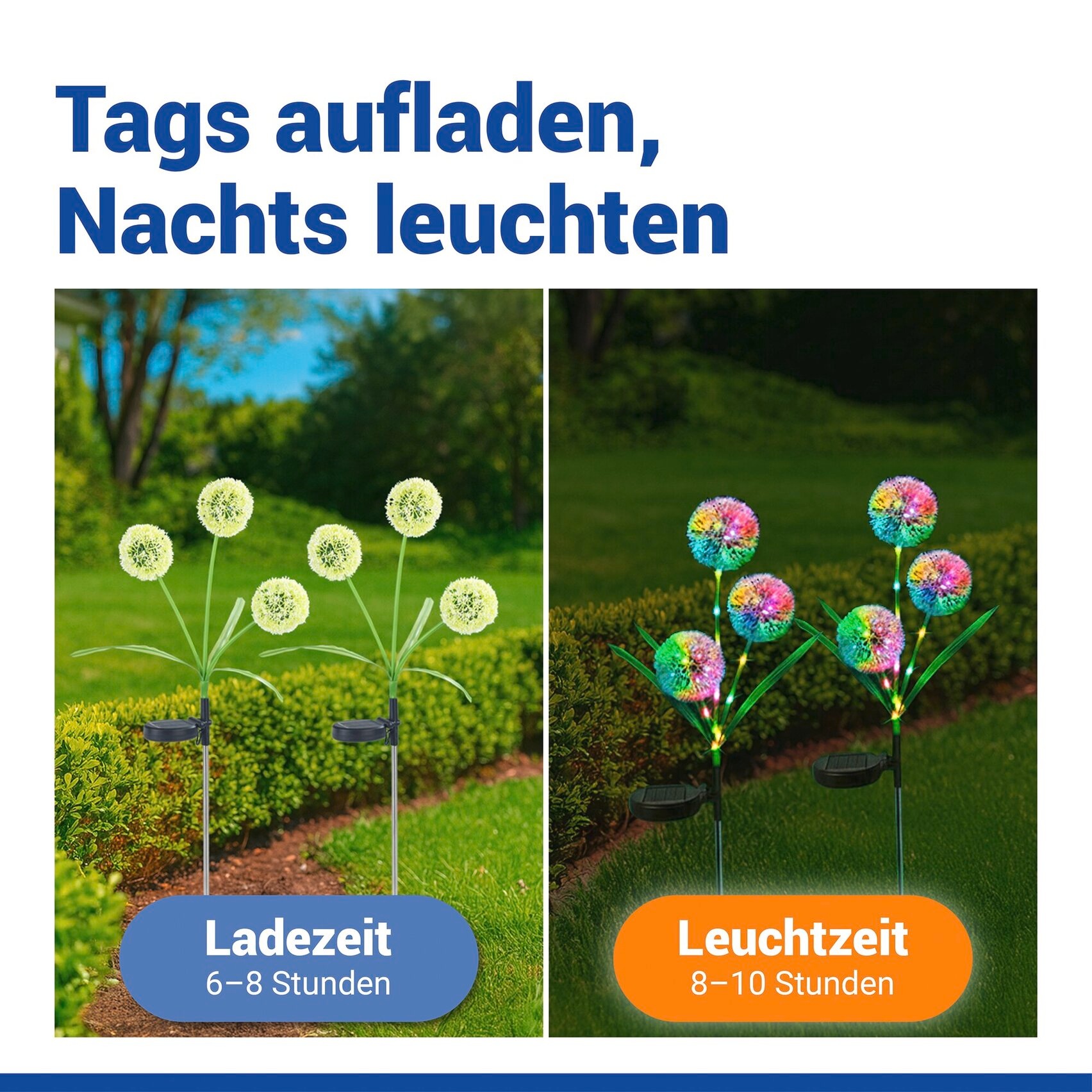 Maximex LED Gartenleuchte »Modell Pusteblume« 2 Stk. Farbwechsler LED Gartenstecker, solarbetriebene Gartenbeleuchtung, 2 Einstellungen