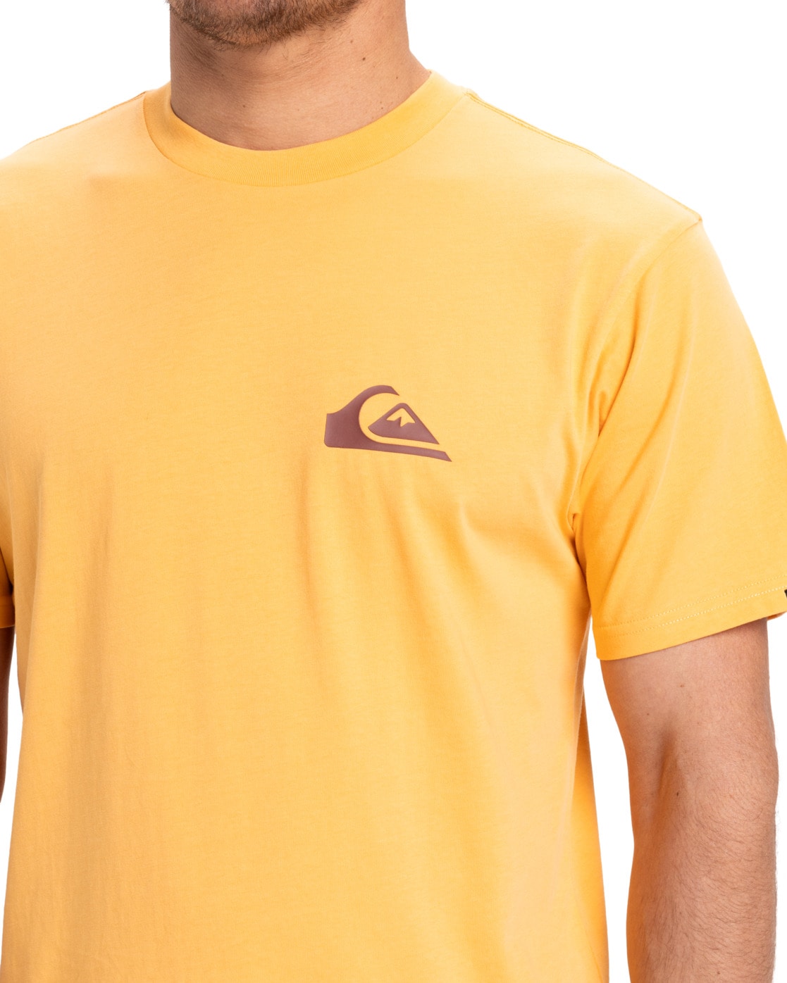 Quiksilver T-Shirt »Ev Mini Logo«