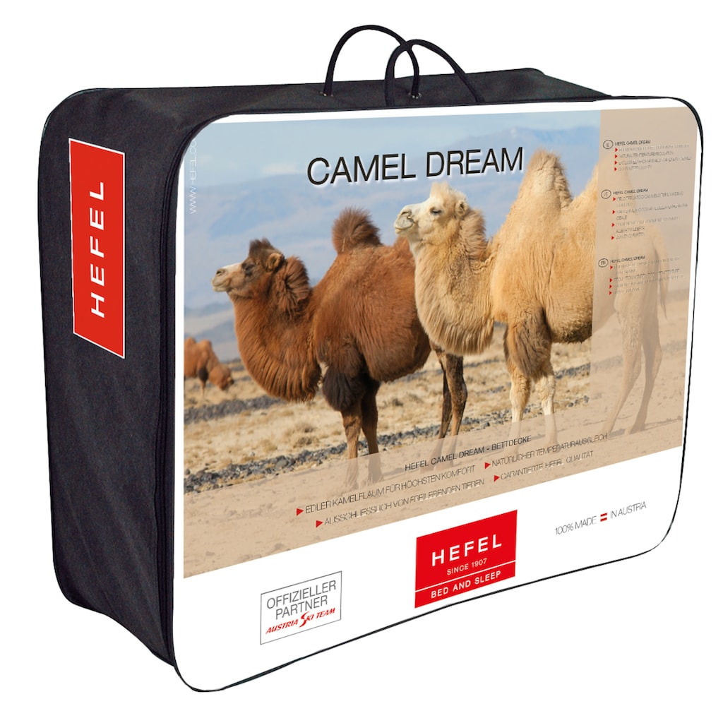 Hefel Einziehdecke »Camel Dream«, normal, Füllung 100% HEFEL-Camelflaum, Bezug 100% Baumwoll-Edelsatin, (1 St.)
