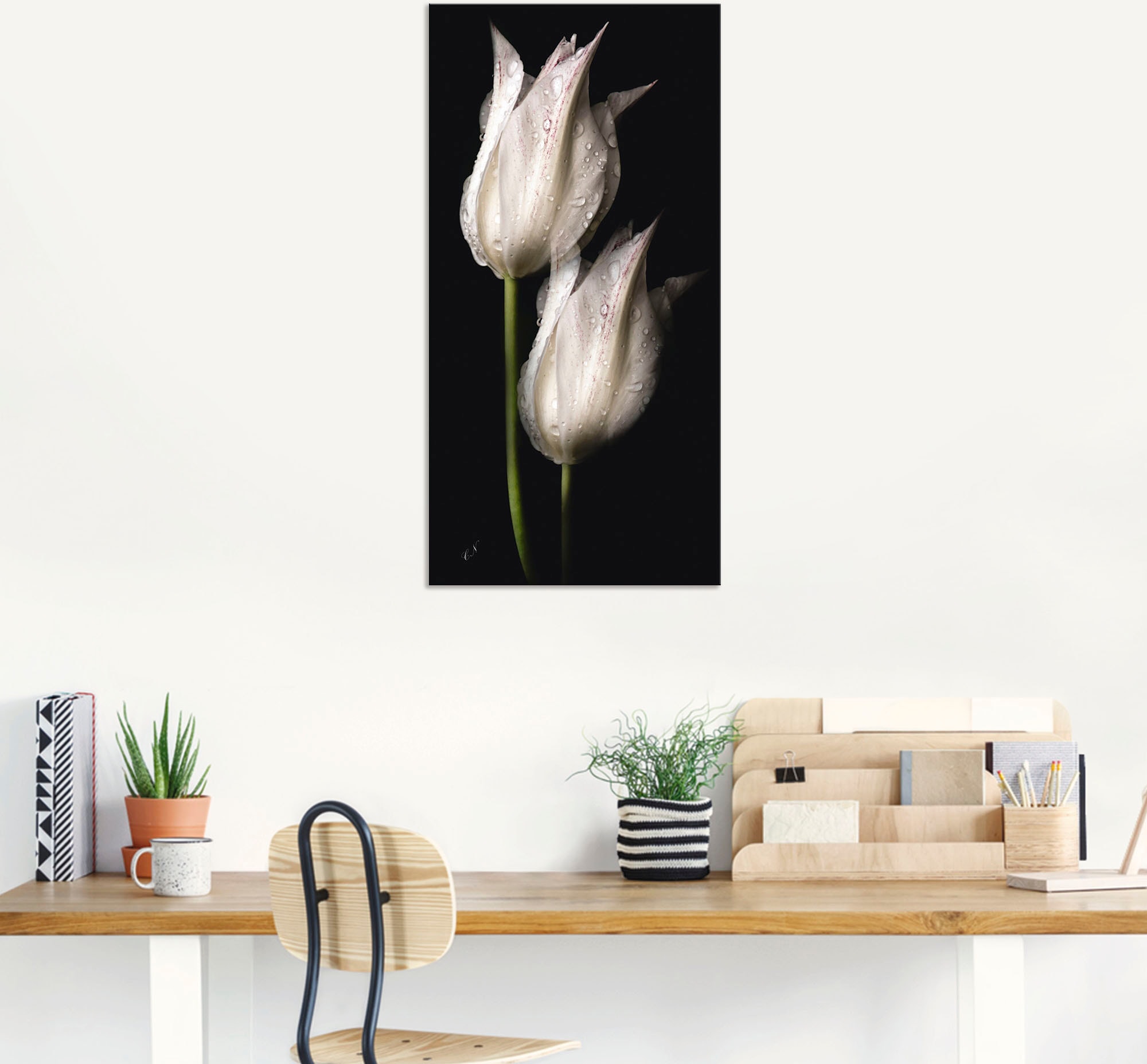 »Weiße Tulpen Wandbild (1 bei Nacht«, Blumenbilder, in bestellen OTTO der St.) Artland