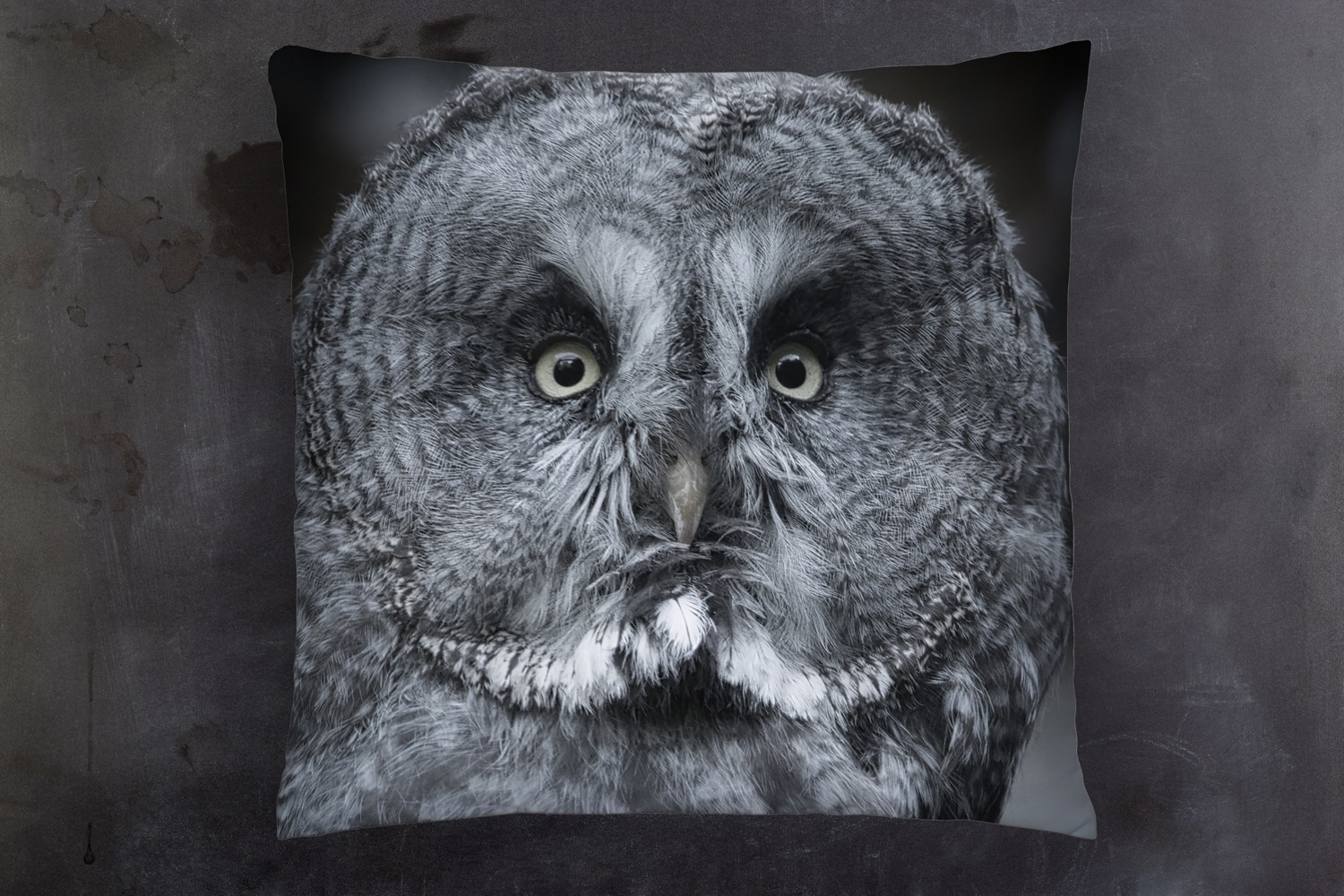 queence Dekokissen »Eulengesicht«, Kissenhülle mit HD Premium Druck, geruchsneutral, 40x40cm