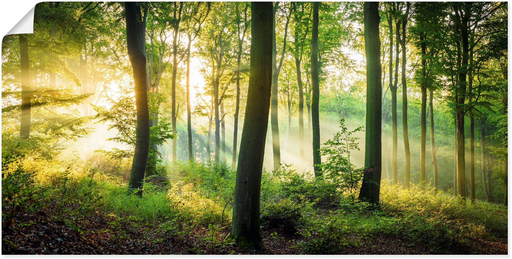 Artland Wandbild »Herbst im Wald versch. (1 Wandaufkleber Leinwandbild, bei OTTO oder in Alubild, Poster Waldbilder, St.), als II«, Größen