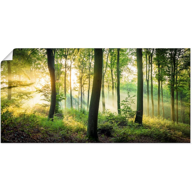 Artland Wandbild »Herbst im Wald II«, Waldbilder, (1 St.), als Alubild,  Leinwandbild, Wandaufkleber oder Poster in versch. Größen bei OTTO