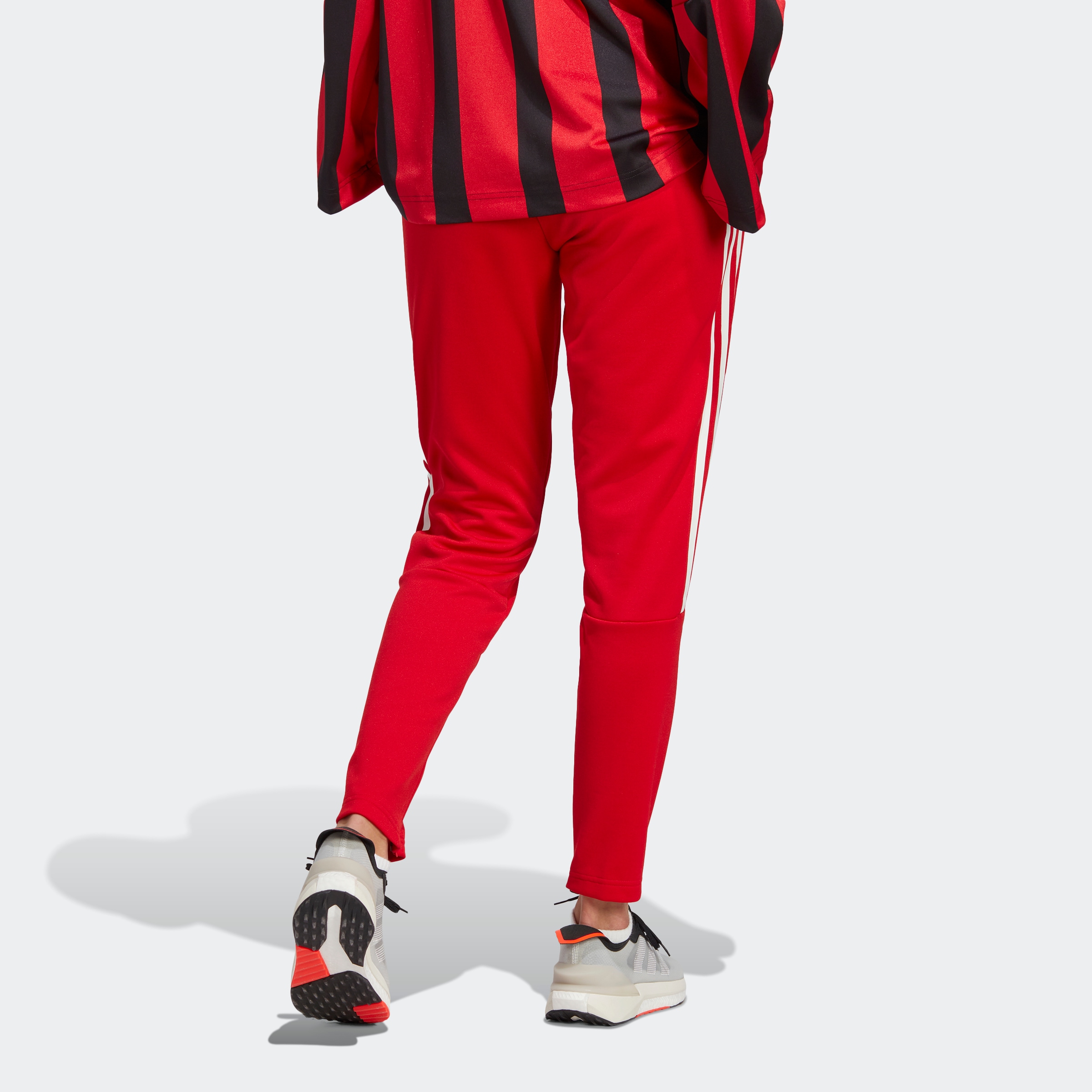 adidas Sportswear »TIRO OTTO LIFESTYLE«, (1 tlg.) UP Sporthose SUIT online bei