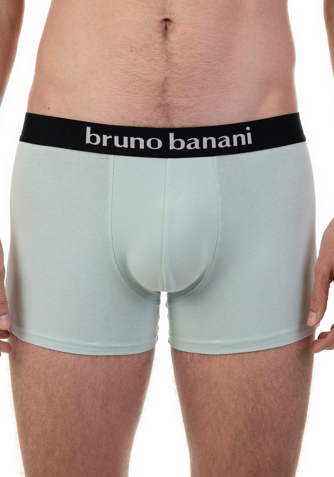Bruno Banani Boxer »Flowing«, (2er Pack), mit kontrastreichem Logobund
