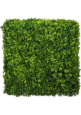 Creativ green Kunstpflanze »Ilex crenata Hecke«, (1 St.) kaufen