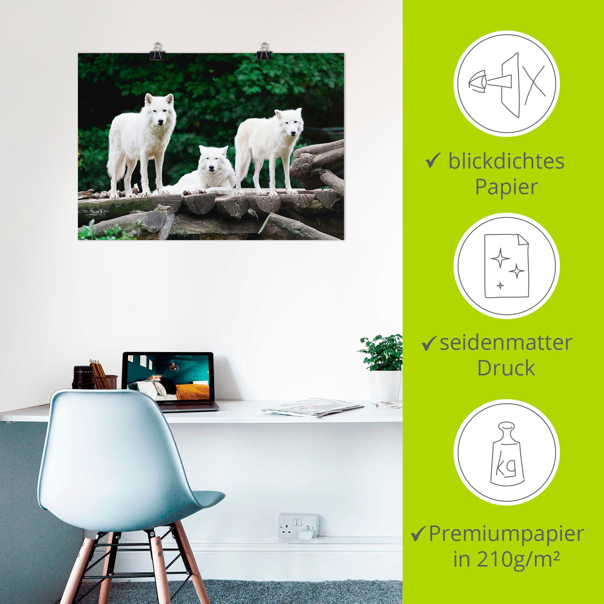 Artland Wandbild »Arktische Wölfe« Wildtiere 1 Stk. tlg. als Leinwandbild, Poster in verschied. Größen