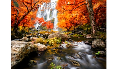 Papermoon Fototapete »Autumn Waterfall« kaufen