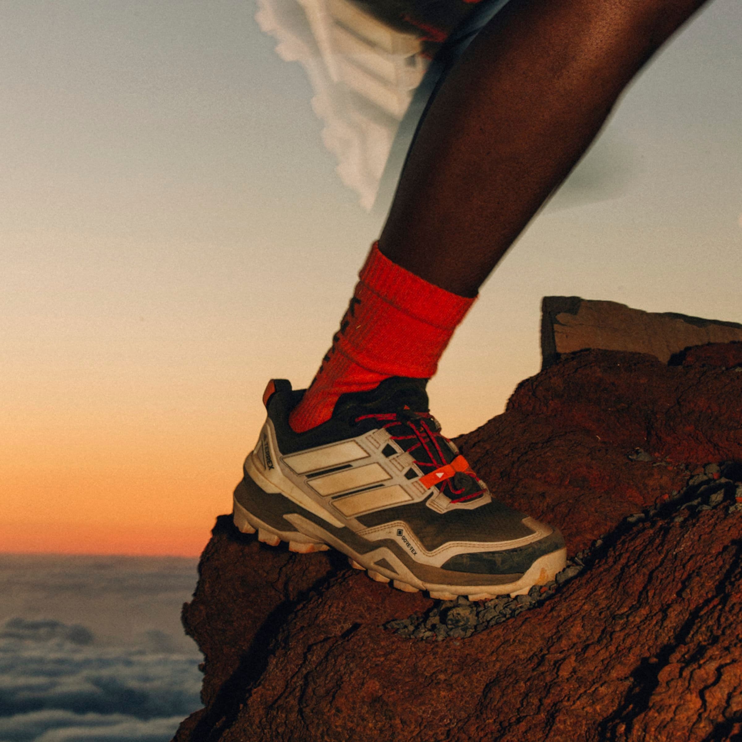 adidas TERREX Wanderschuh »TERREX SKYCHASER GORE-TEX«, wasserdicht