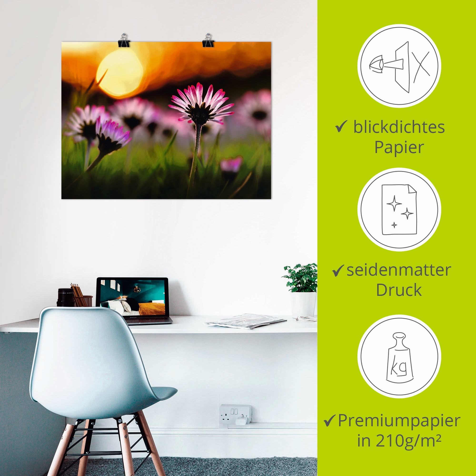 Artland Poster »Gänseblümchen im Sonnenuntergang«, Blumenwiese, (1 St.), als Alubild, Leinwandbild, Wandaufkleber oder Poster in versch. Größen