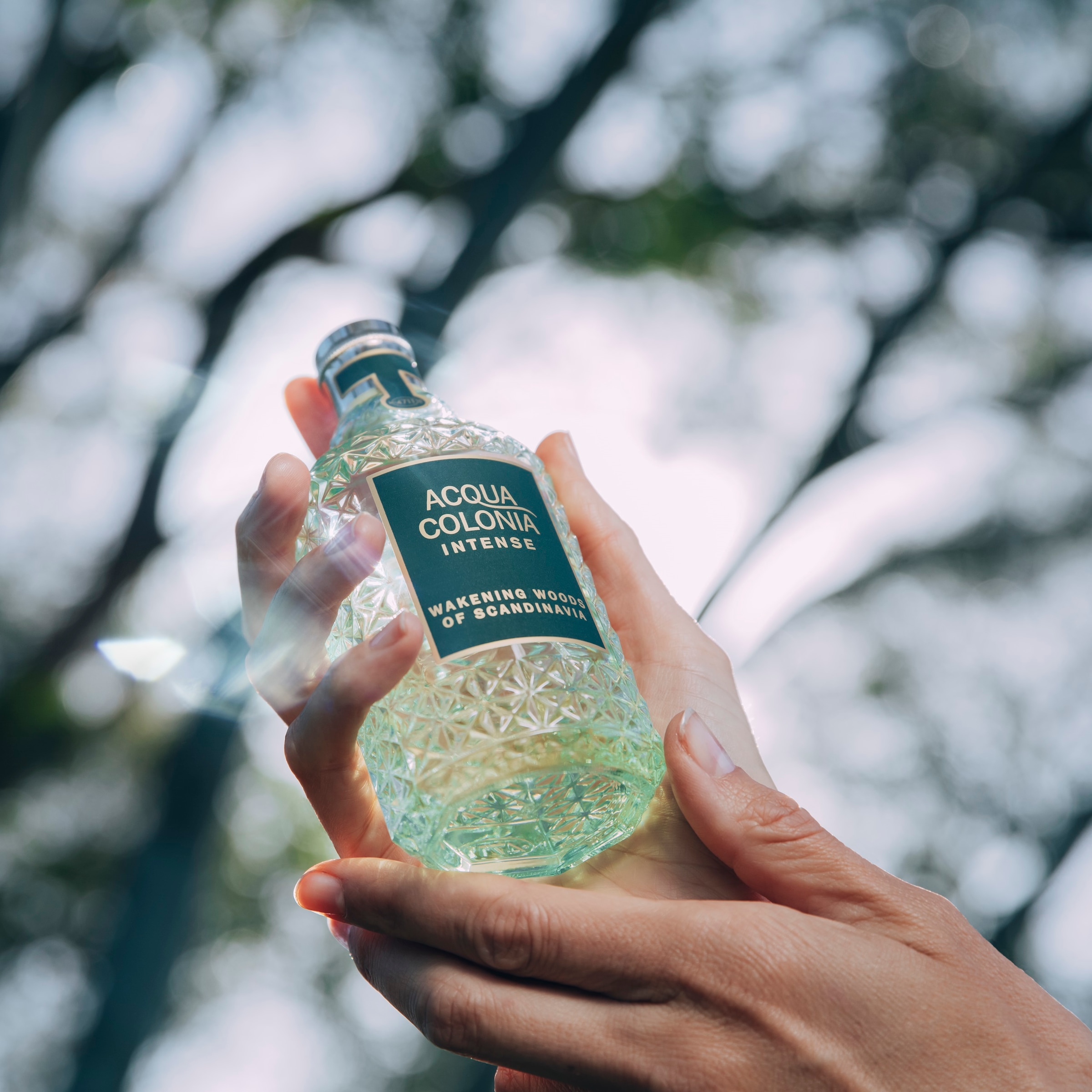 4711 Eau de Cologne »WAKENING WOODS OF SCANDINAVIA EAU DE COLOGNE«, (Packung, 1 tlg.), mit frischer Note