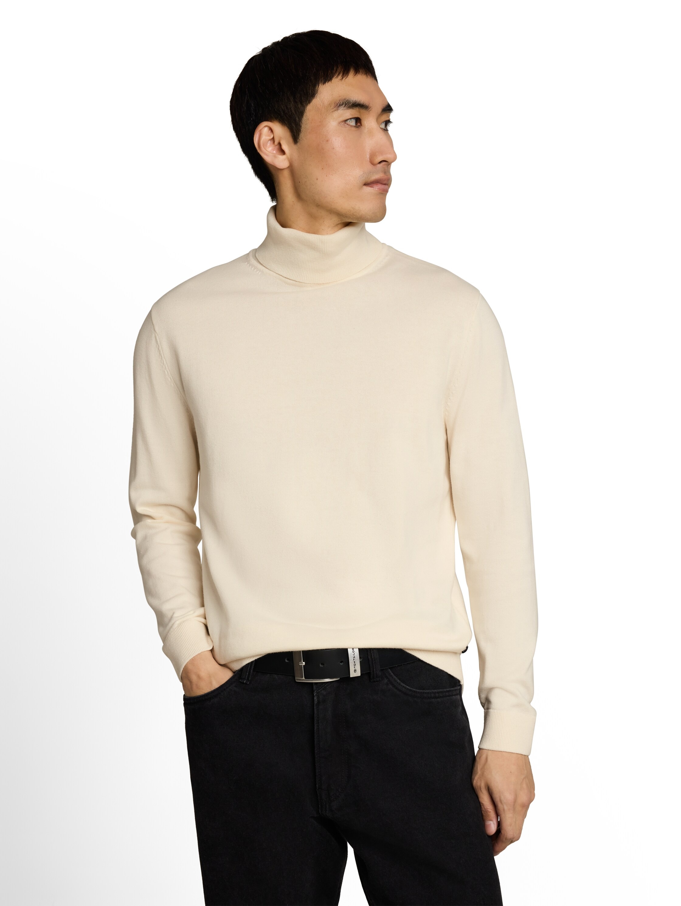 TOM TAILOR Rollkragenpullover im Strick-Design