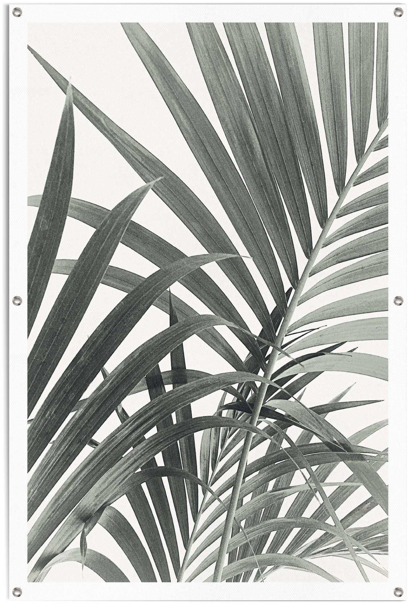 Reinders! Poster »Palmenblätter«, leichtes und bestellen für Gartenposter im den Außeneinsatz Shop wasserfestes OTTO Online