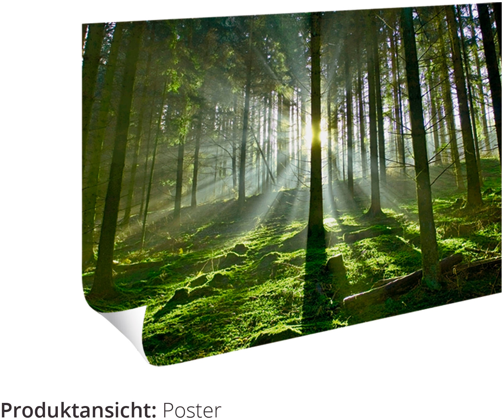 im Shop »Toskanabucht Leinwandbild, (1 Poster als Europa, in Artland Wandaufkleber OTTO St.), versch. Online Alubild, II«, Wandbild Größen oder