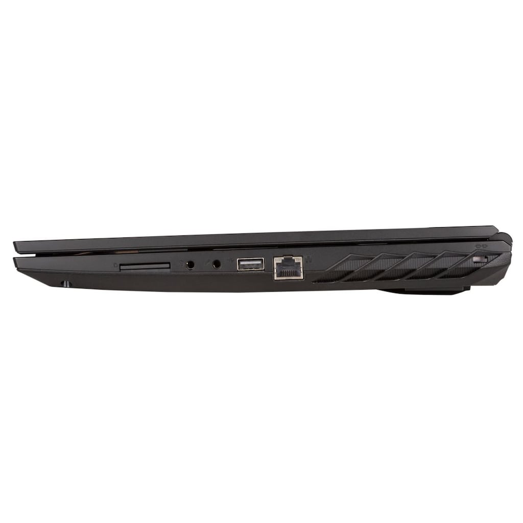 CAPTIVA Gaming-Notebook »Power Starter I68-276«, GeForce MX350, 1000 GB SSD