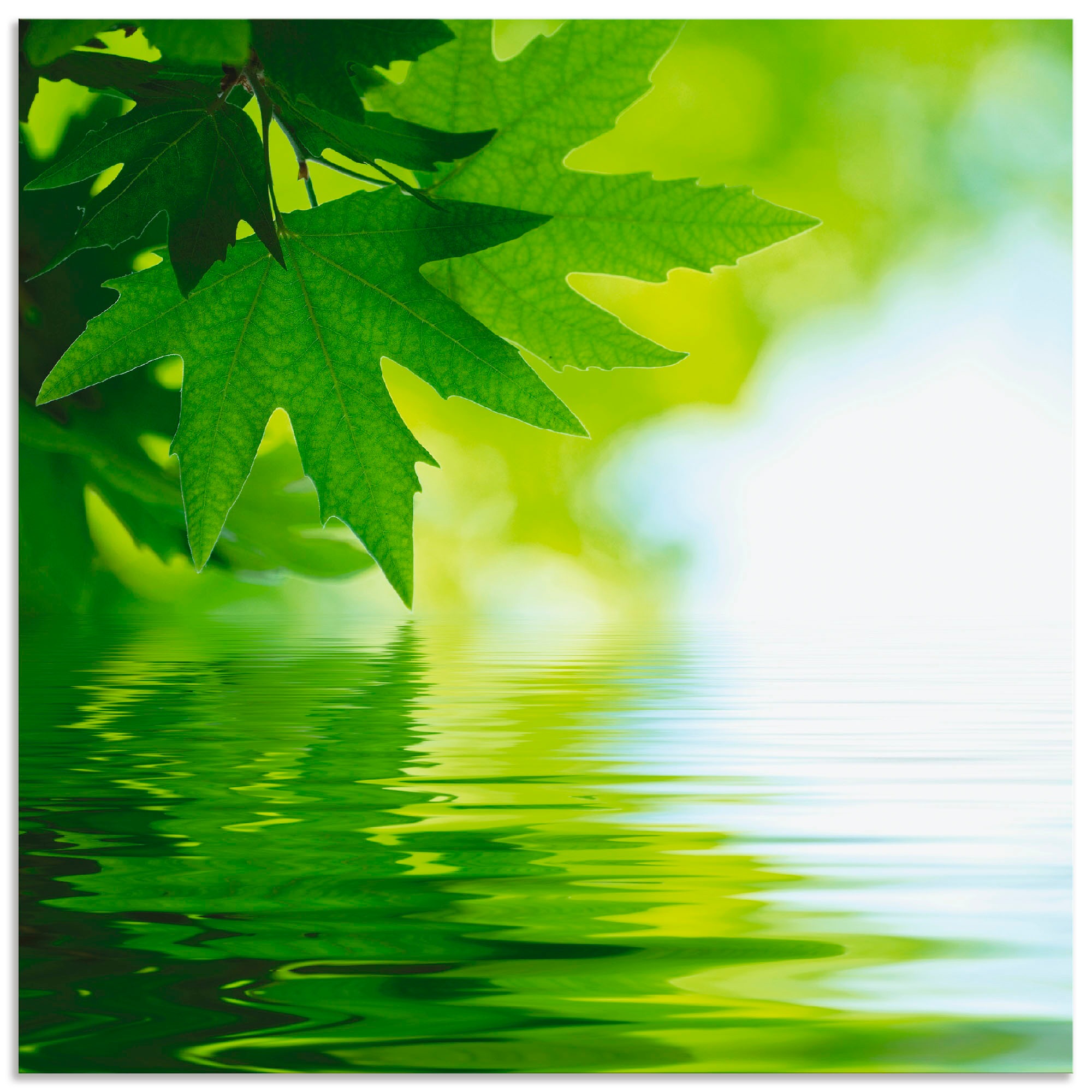 Artland Wandbild »Grüne Blätter reflektieren im Wasser«, Blätter, (1 St.), in vielen Größen & Produktarten - Alubild / Outdoorbild für den Außenbereich, Leinwandbild, Poster, Wandaufkleber / Wandtattoo auch für Badezimmer geeignet