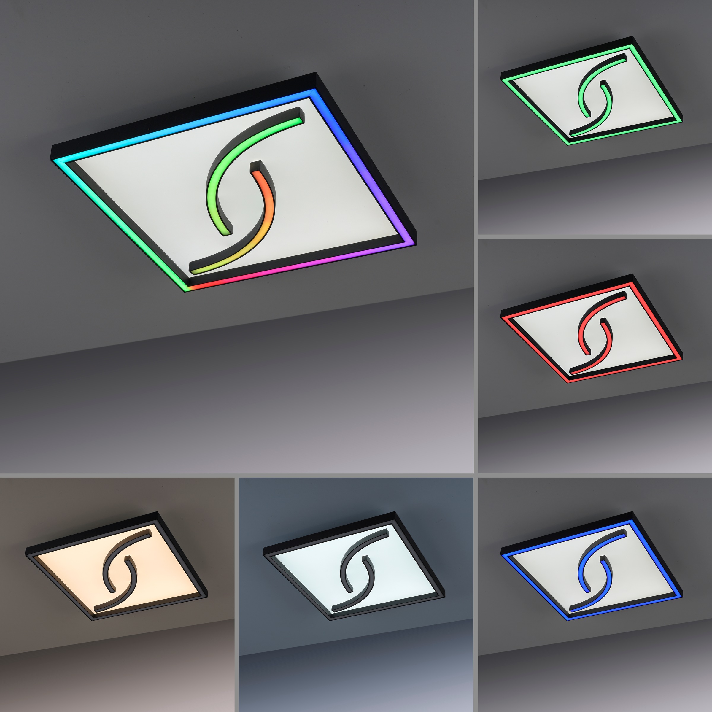 Paul Neuhaus Deckenleuchte »SERPENT«, dimmbar, mit Fernbedienung