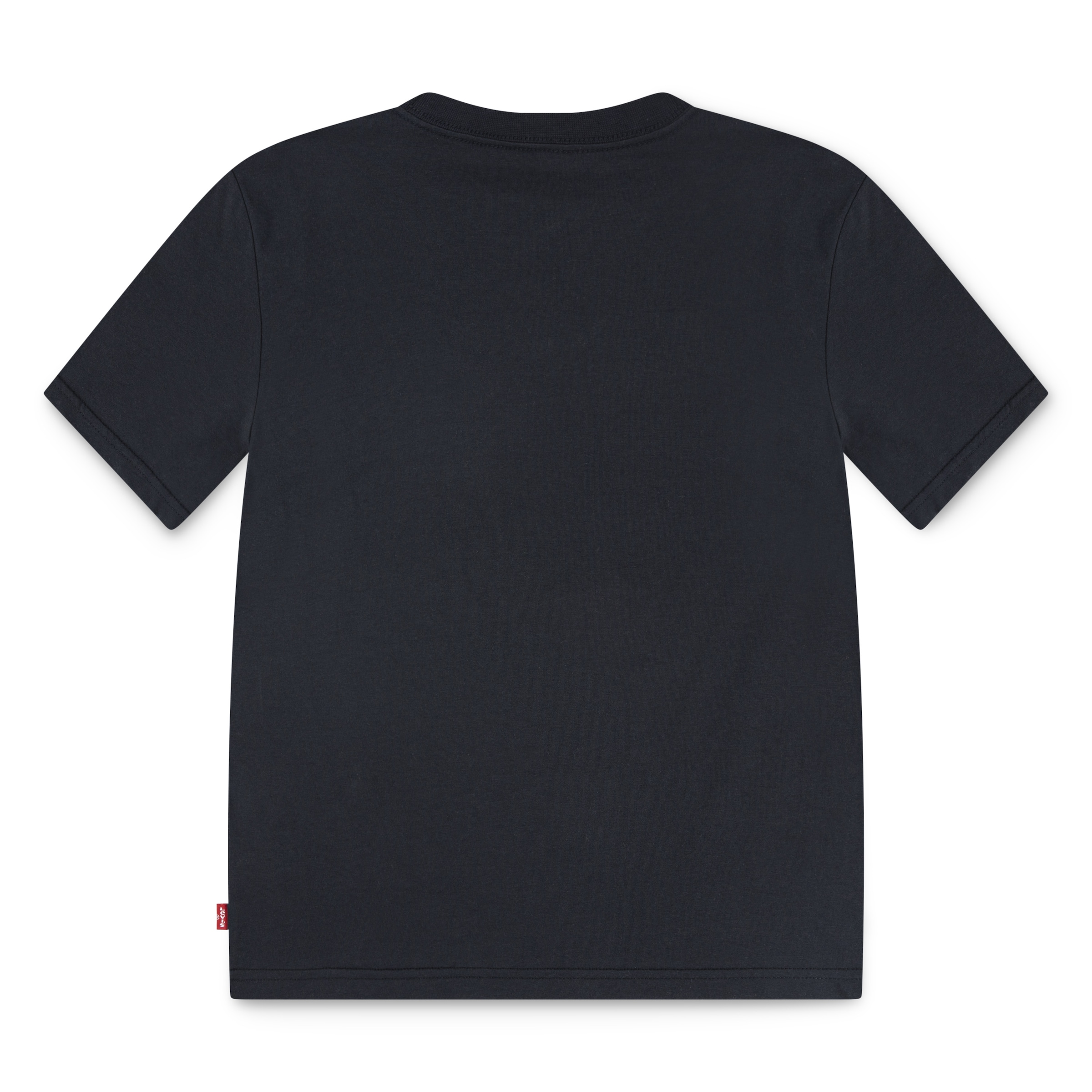 Levi's® Kids T-Shirt »LVB CACTUS IN THE SUNSET«, mit Western-Print