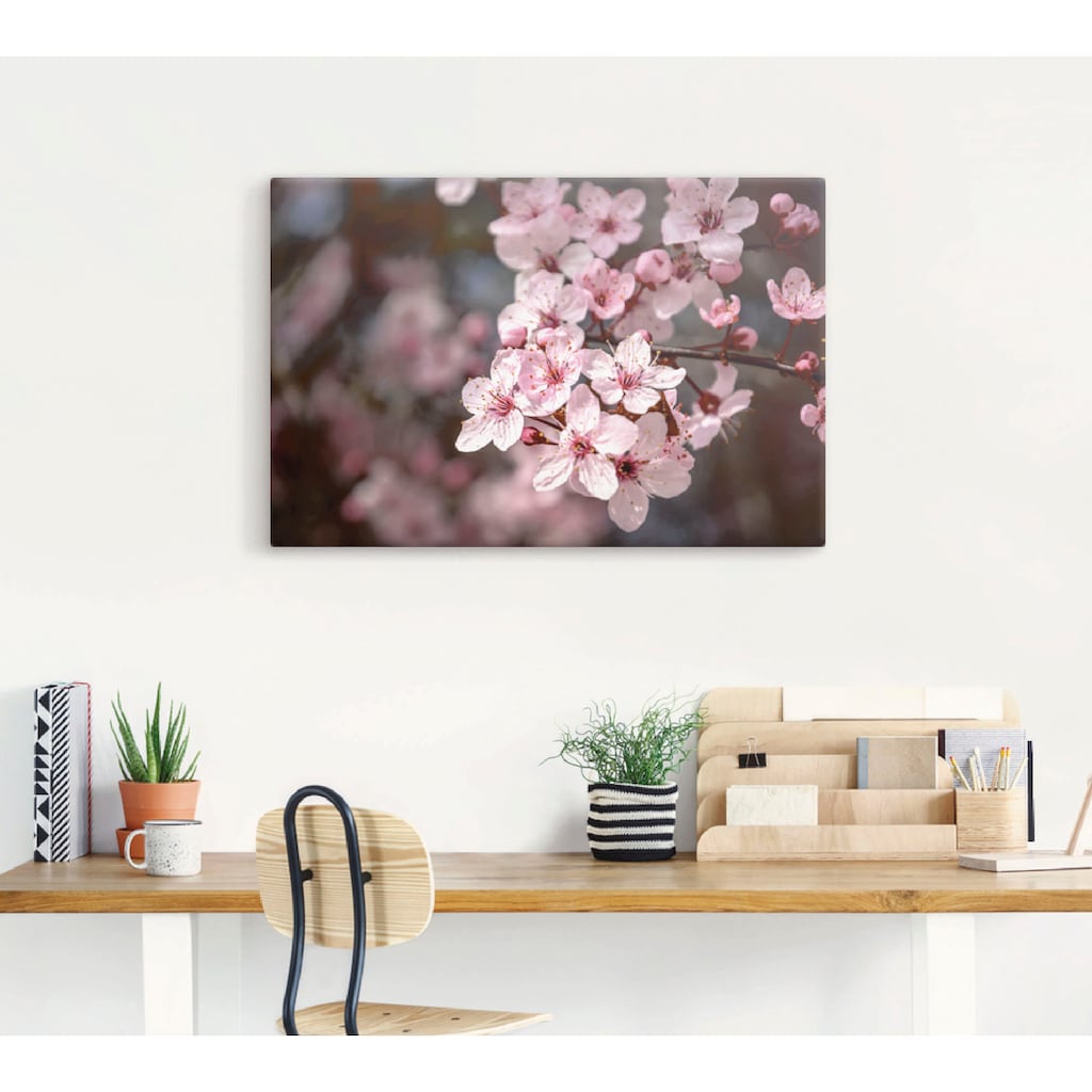 Artland Leinwandbild »Kirschblüten Nahaufnahme im Sonnenlicht«, Blumen, (1 St.)