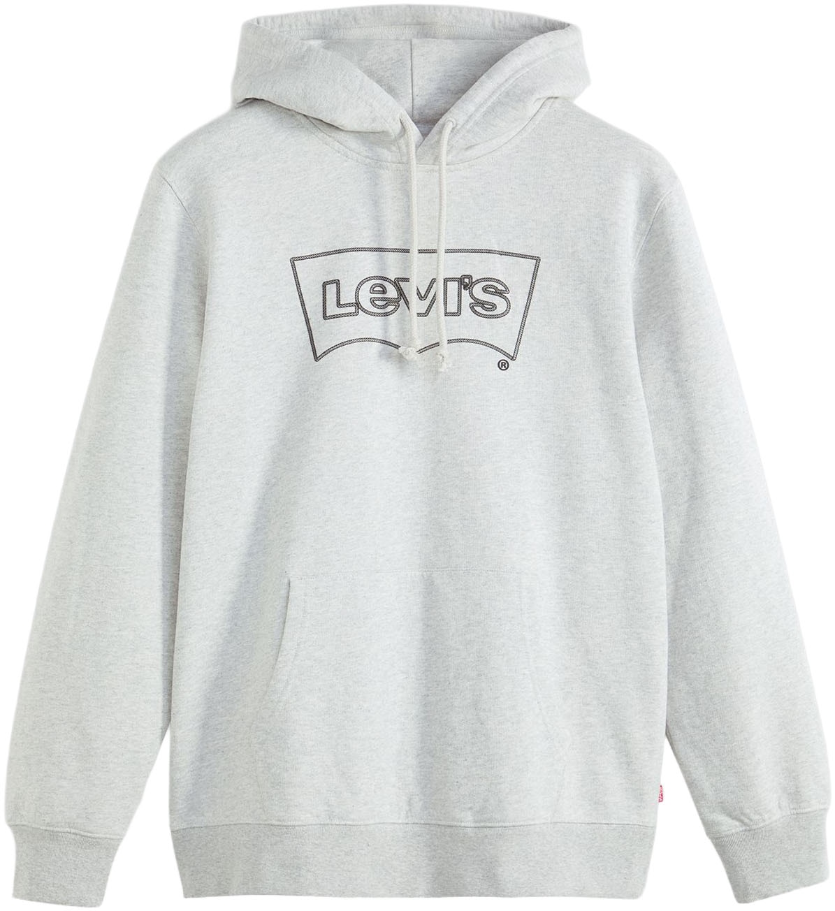 Levi's® Hoodie »STANDARD GRAPHIC HOOD«, mit Kängurutasche