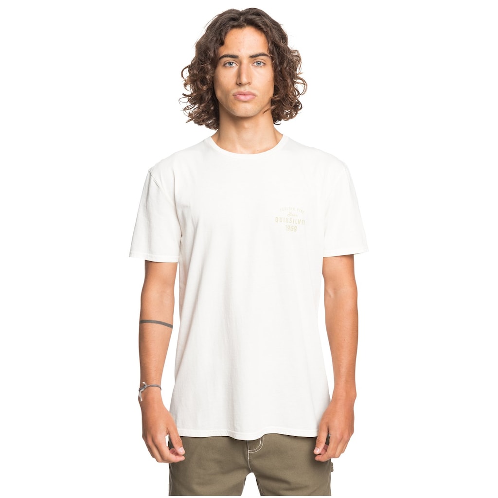 Quiksilver T-Shirt »Desert Trippn«
