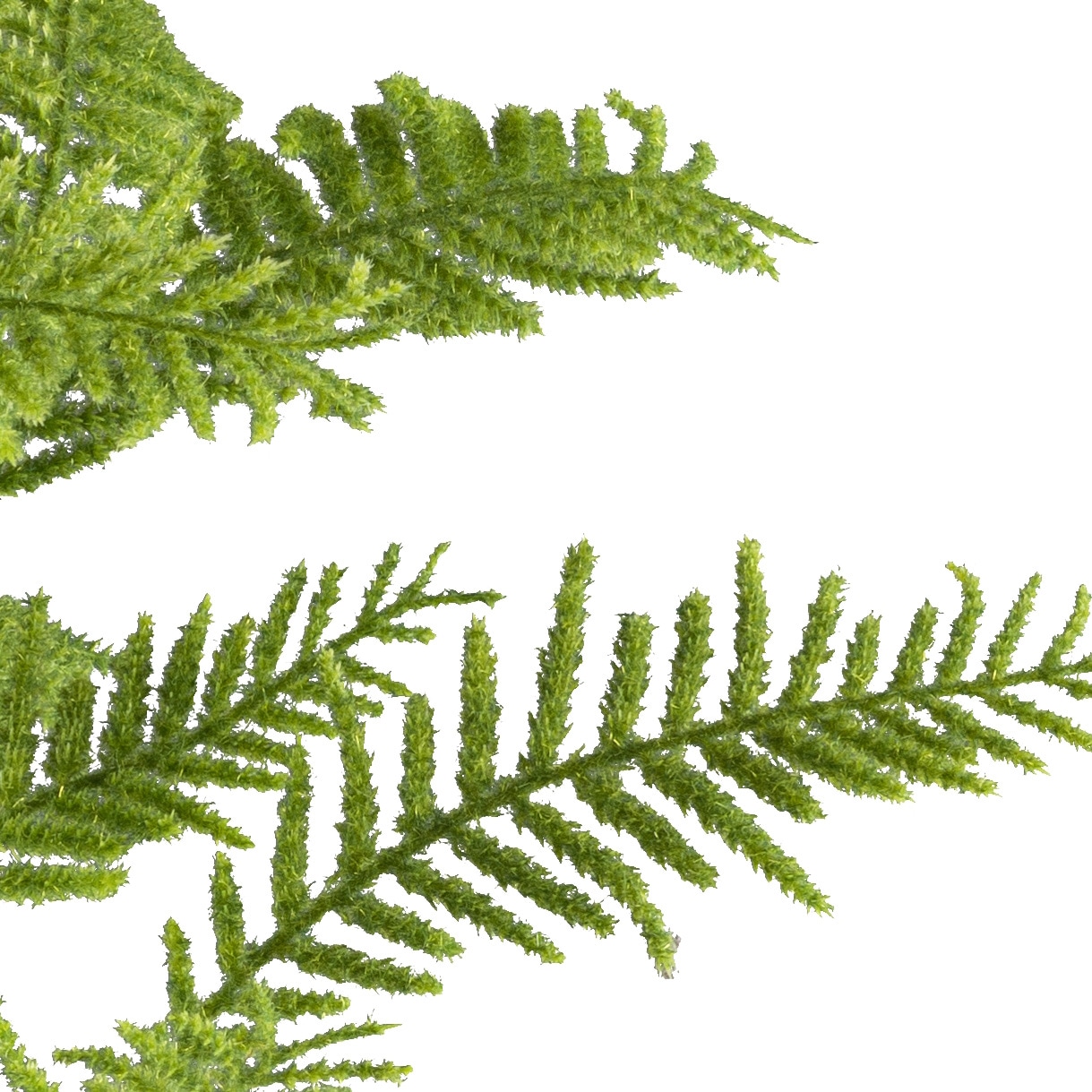 Creativ green Kunstpflanze »Schildfarn« mit zahlreichen Wedeln