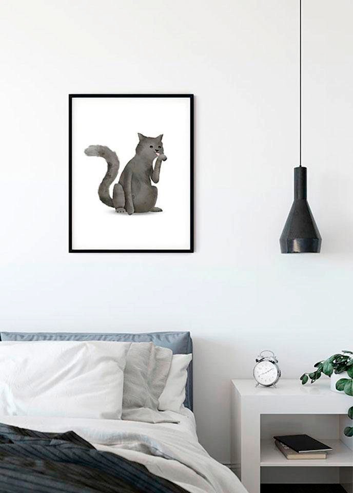 Komar Bild »Cute Animal Cat« Tiere 1 Stk. tlg. Wandbild zur Dekoration - ohne Rahmen