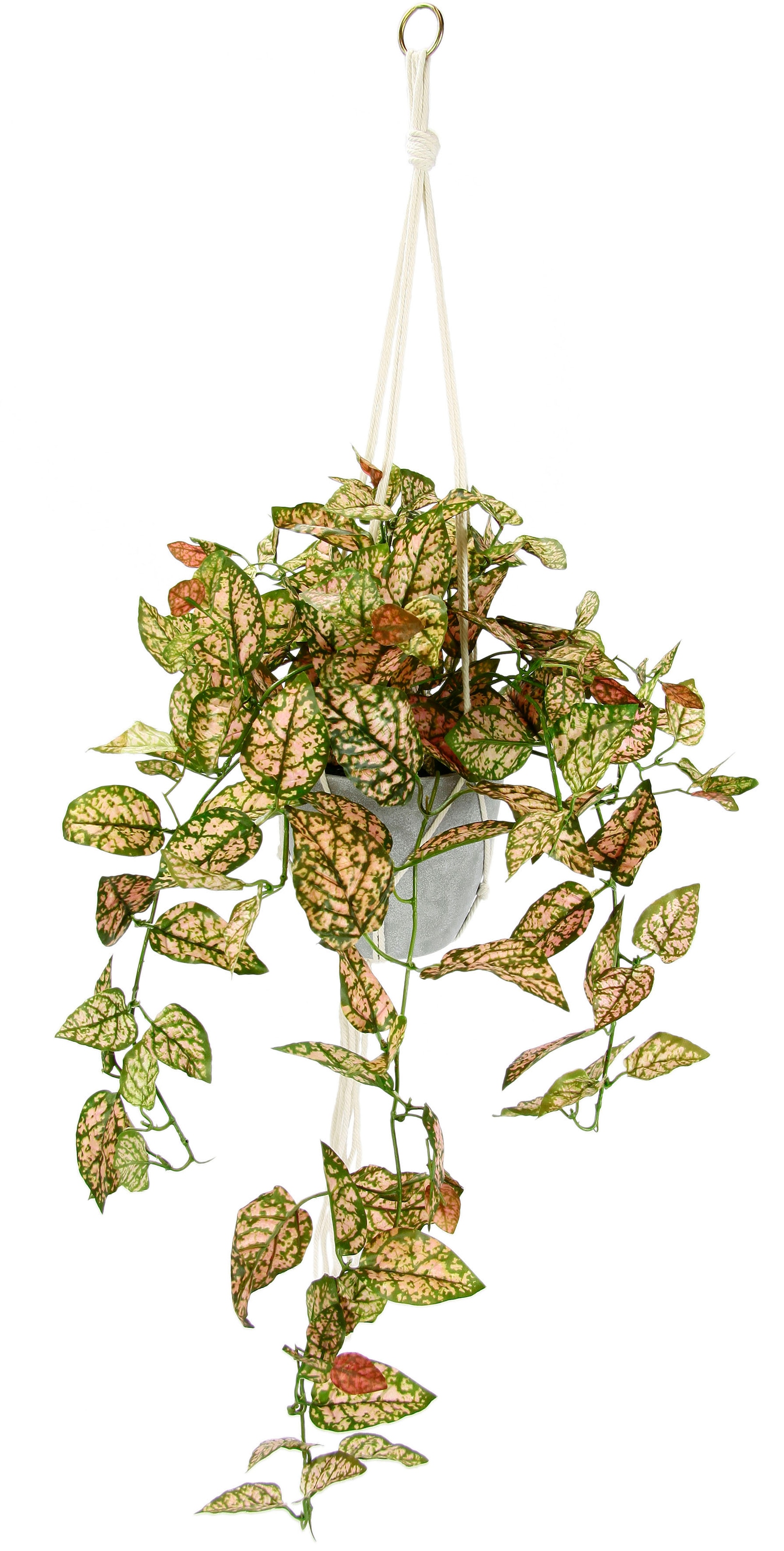 I.GE.A. Kunstpflanze »Künstliche Fittonia Hängeampel mit Topf Kunstpflanze«, Topfpflanze Kunstblume