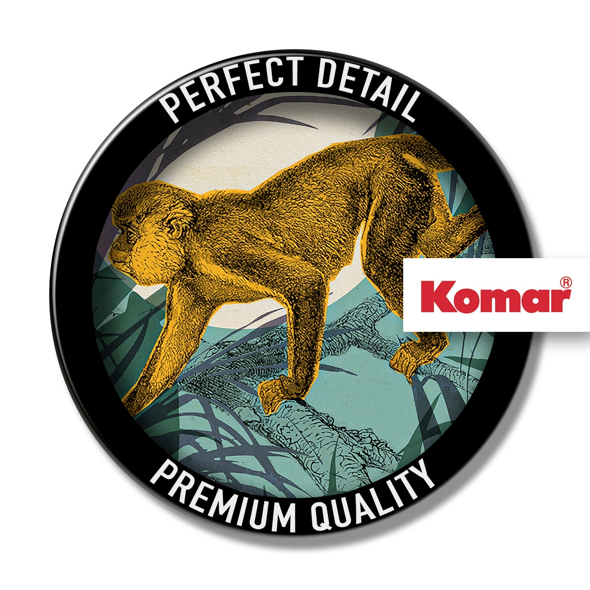 Komar Leinwandbild »Sneaky Monkey - Größe 40 x 60 cm«, Natur, (1 St.), Keilrahmenbild mi Echtholzrahmen
