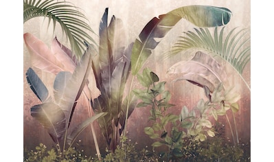 Komar Fototapete »Rainforest Mist«, bedruckt-tarnfarben-Ton-in-Ton, Größe: 350 x 250... kaufen