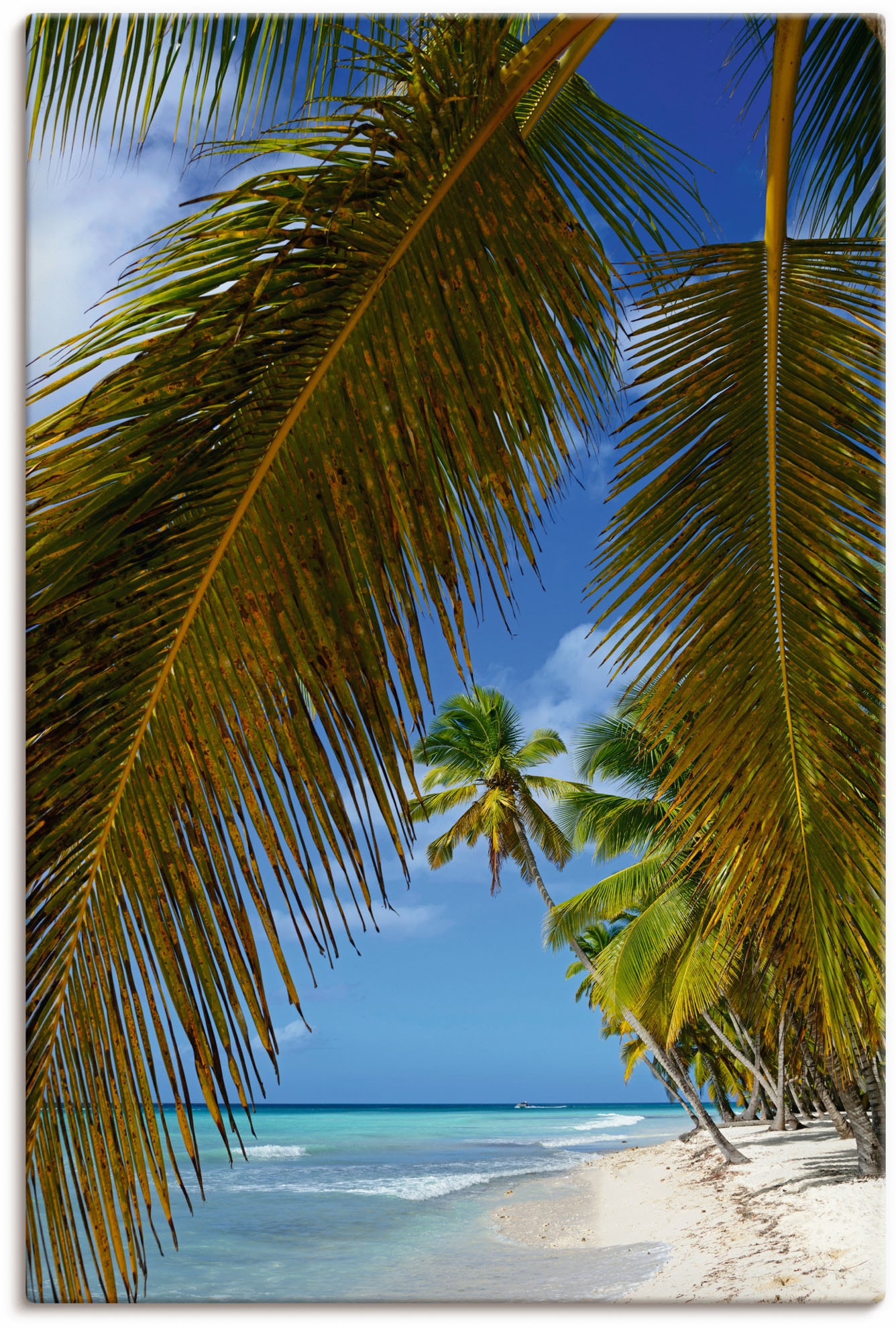 Artland »Palmenstrand, in Karibikbilder, (1 Saona«, Größen St.), Wandaufkleber Poster Isla als versch. Leinwandbild, Alubild, OTTO online Wandbild oder bei Insel