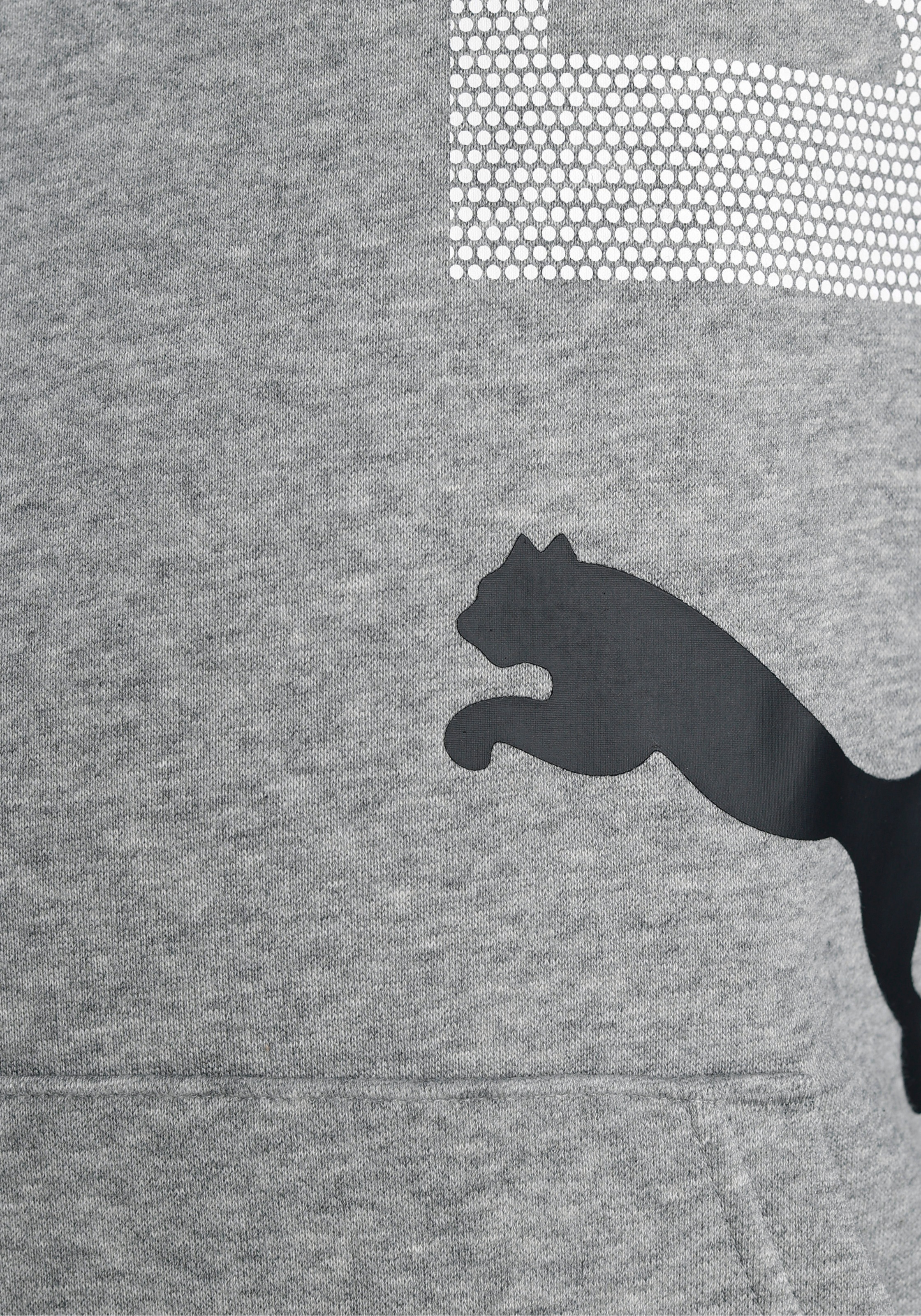 PUMA Kapuzensweatshirt