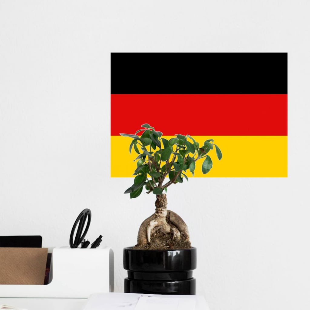 Wall-Art Wandtattoo »Fußball Deutschland Fahne«, (1 St.)