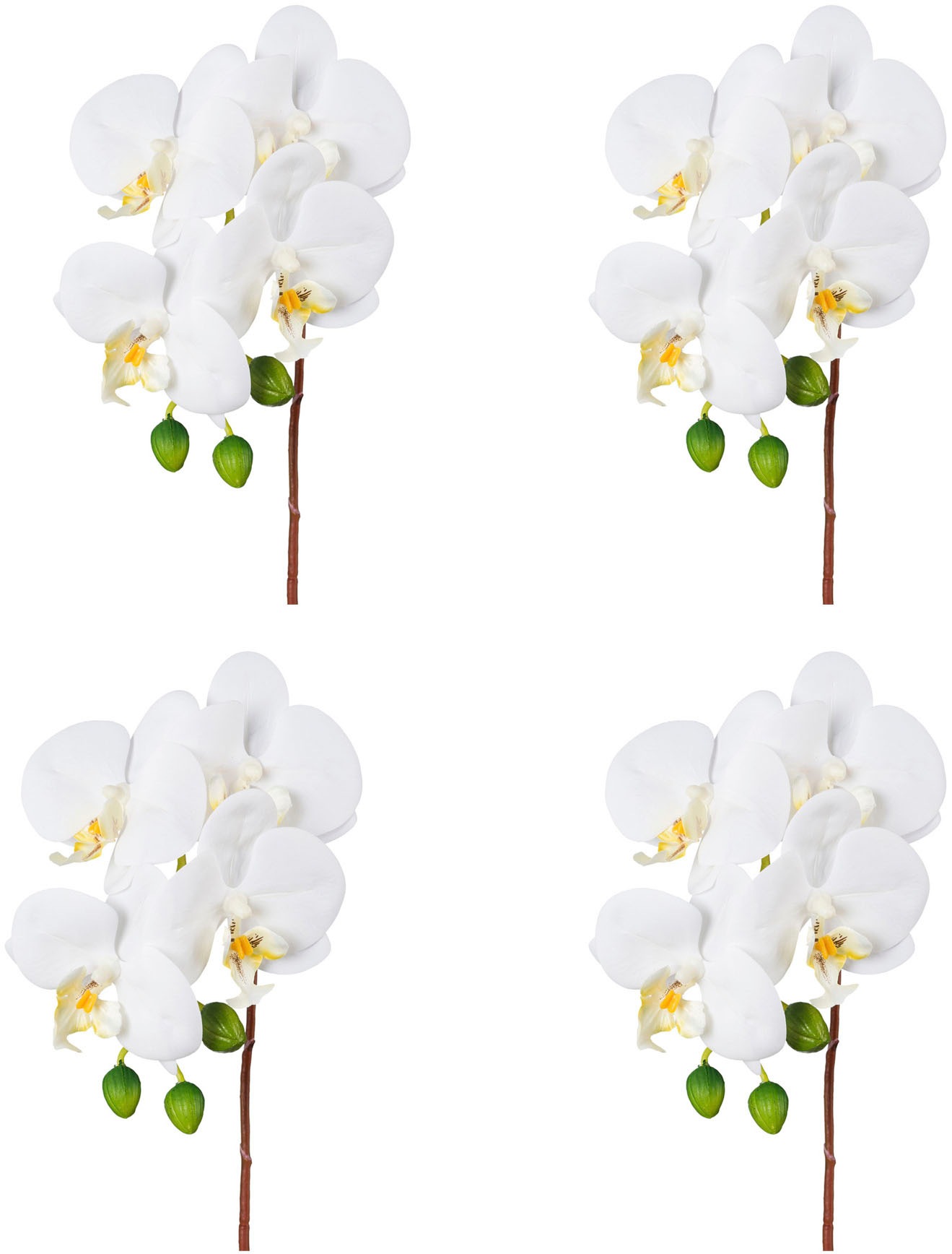 Creativ green Kunstorchidee »Orchidee Phalaenopsis« mit real-touch-Blüten