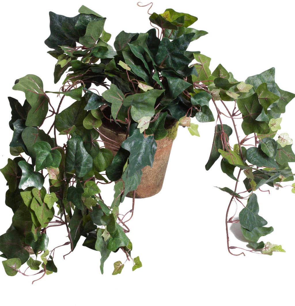 Künstliche Zimmerpflanze »Efeuhängebusch«