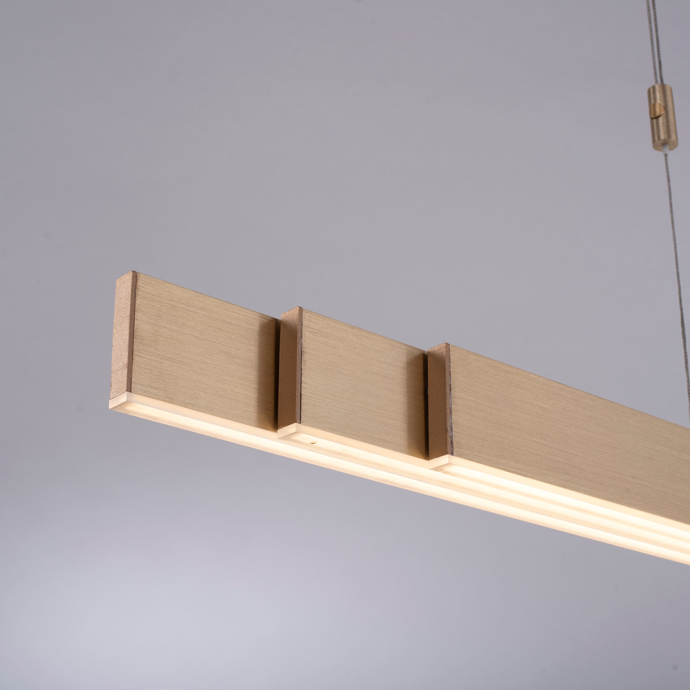 Neuhaus PURE LED Pendelleuchte »PURE Moto« LED-Board 1 Stk. warmweiß - kaltweiß e-SLIDE® Funktion, CCT, dimmbar, Fernbedienung